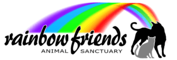 Rainbow Friends logo