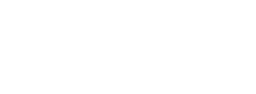 Mace logo