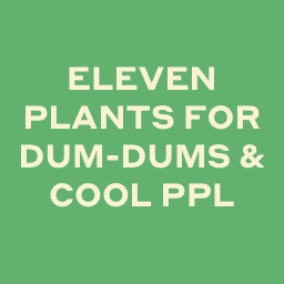 Dum Dums logo