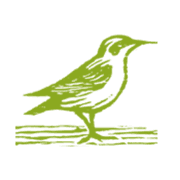 Bell Plantation