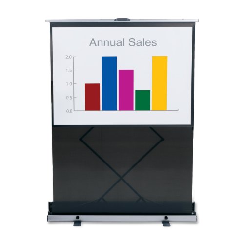 Euro Instant Portable Cinema Screen w/Black Carrying Case, 80 x 80